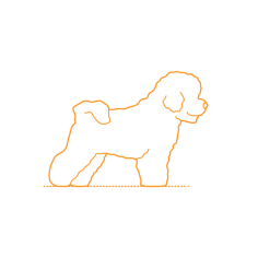 Animals Dogs Bichon Frise Sticker Svg Vector, Free Vectors File